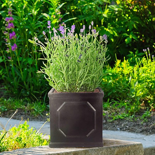 Idealist lite chelsea flower - lite,