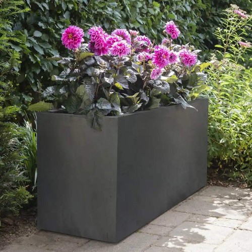 Idealist lite contemporary - idealist,