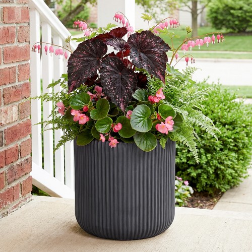 Cylindrical garden planters - cylindrical,