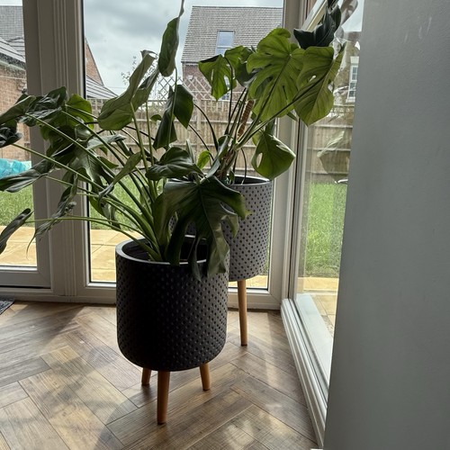 Idealist honeycomb planters - planters, on