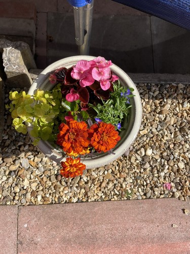 planters