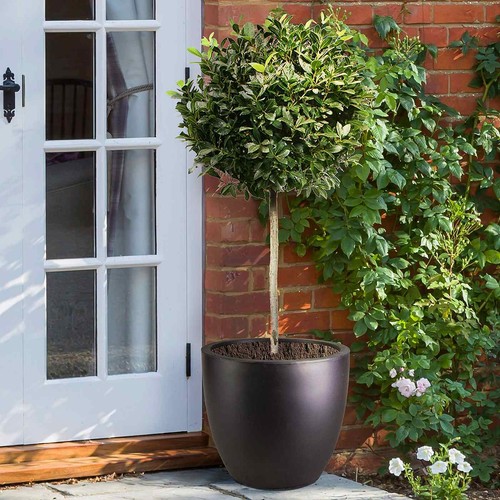 Idealist lite 40cm - 40cm, garden