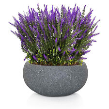 Bowl Garden Planters IDEALIST